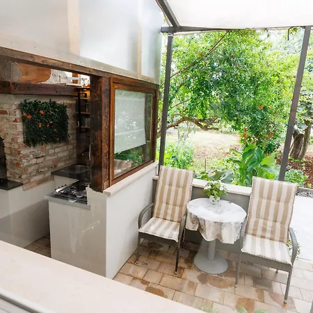 Amigo * Ζαντάρ